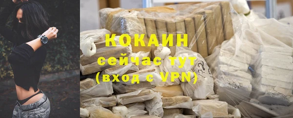 соль ск Елизово