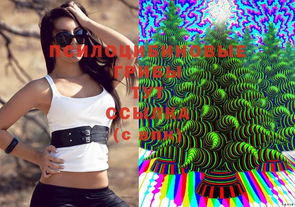 спайс Елабуга