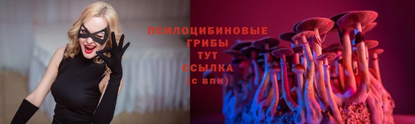 соль ск Елизово