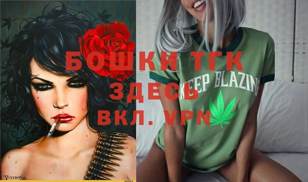 соль ск Елизово